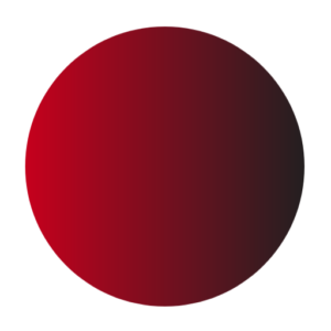 Blueberry Learn Site Icon